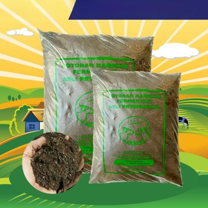 

Terlaris Pupuk Kandang - Pupuk Kandang Akf Kotoran Kambing Fermentasi Asli Peternakan Cocok Untuk Tanaman Buah Bunga