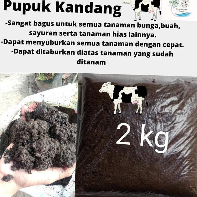 

Terlaris Pupuk Kandang Sapi Halus Murni Organik Kemasan 2 Kg Siap Pakai