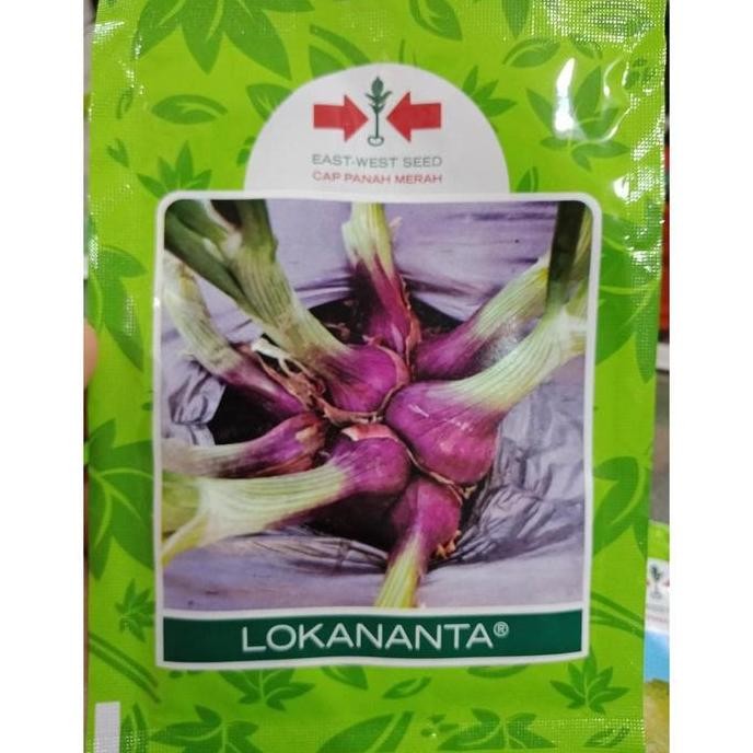 

Terlaris 10 Gr Benih Bawang Merah Lokananta Bibit Brambang Tahan Penyakit Cap