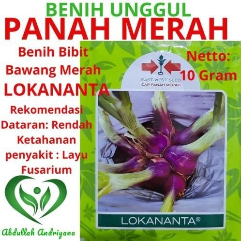 

Terlaris Best Benih Bawang Merah Lokananta Isi 10Gram Bibit Panah