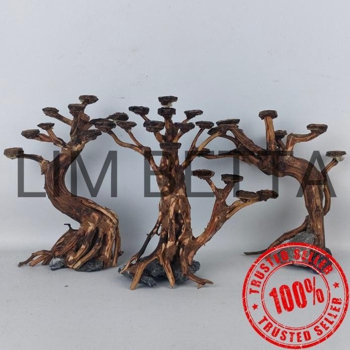 Terlaris Pohon Bonsai Aquascape 15 Cm / Hiasan Aquarium Aquascape Terbatas