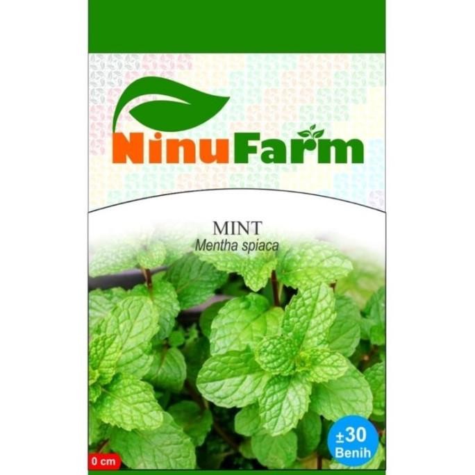 

Terlaris Bibit / Benih Daun Mint Herbal Unik