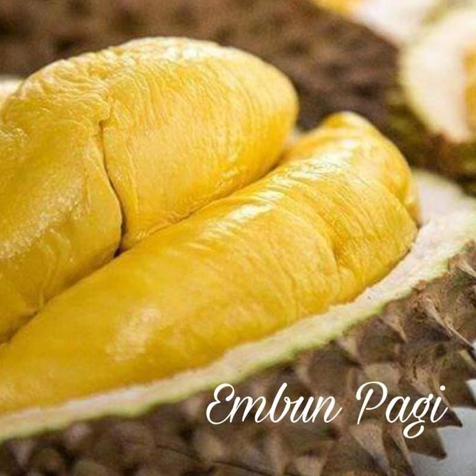 

Terlaris Bibit Pohon 5 Jenis Durian Varian Unggul