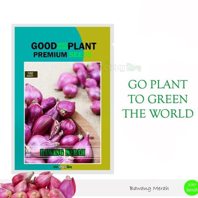 

Terlaris 100 Biji - Benih Bibit Bawang Merah Sanran F1 Unggul - Okegreenshop