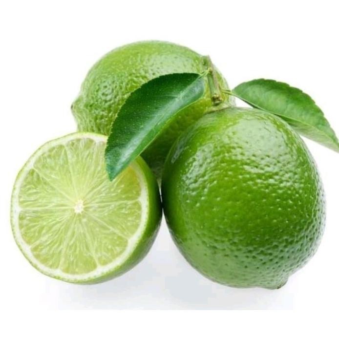 

Terlaris Bibit Jeruk Nipis Bibit Tanaman Buah Buahan Bibit Dddd