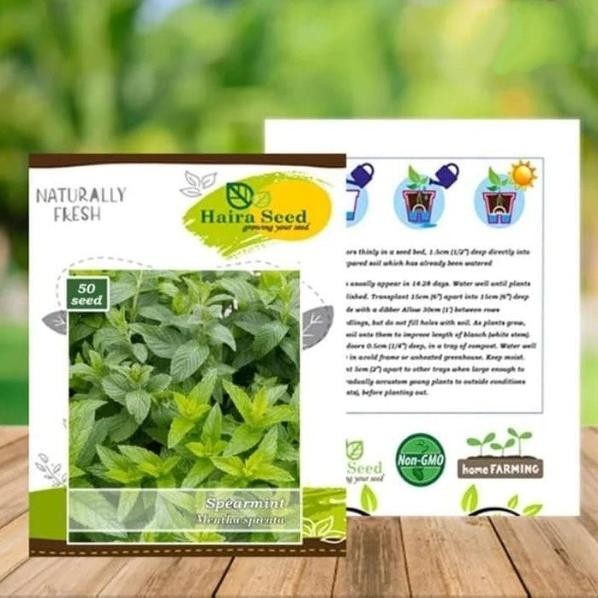 

Terlaris Benih Bibit Biji Herb Spearmint Herbs Herba Daun Mint Sp Awayyg 1419Tw