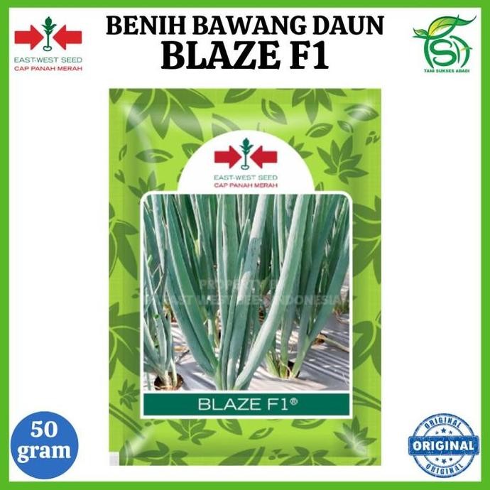 

Terlaris Benih Bawang Daun Blaze F1 Kemasan 50 Gram - Bibit Cap Panah Merah