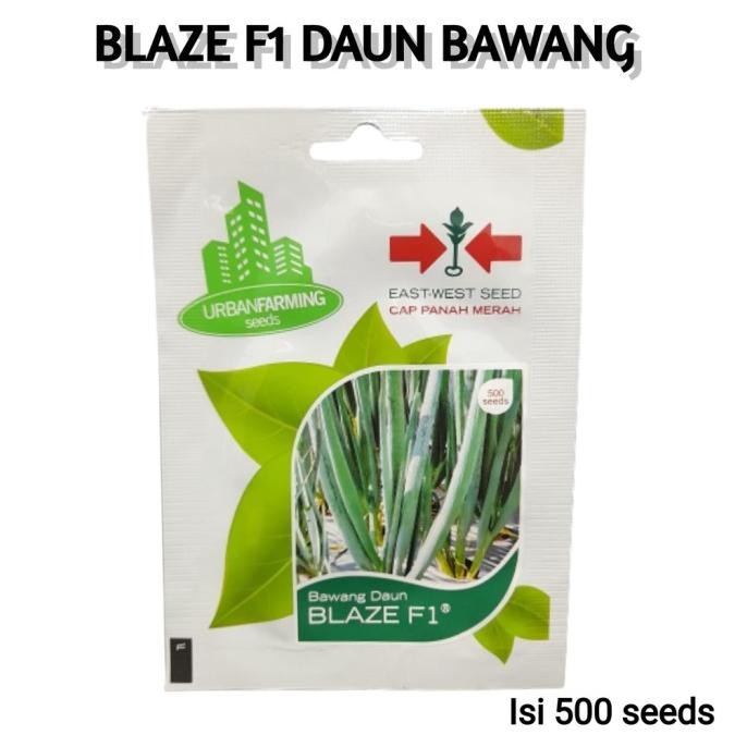 

Terlaris Benih Bibit Daun Bawang Blaze F1 500 Biji Seed Cap Panah Merah Sayuran