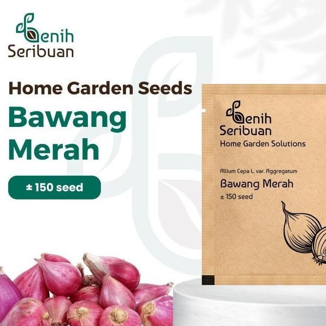 

Terlaris Bibit Bawang Merah Unggul Benih Sayuran Seribuan (Sku Bb)
