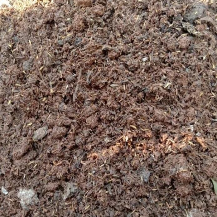 

Terlaris Ready Pupuk Kandang | Kotoran Ayam & Kambing | Berat 1Kg