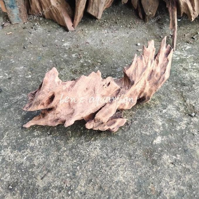 Terlaris Kayu Rentek Mini Hiasan Aquarium Hiasan Aquascape Kayu Rentek Original