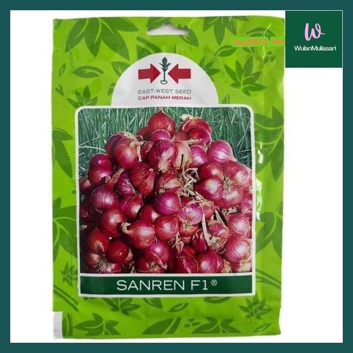 

Terlaris Wula^ Benih/Bibit Bawang Merah Sanren F1