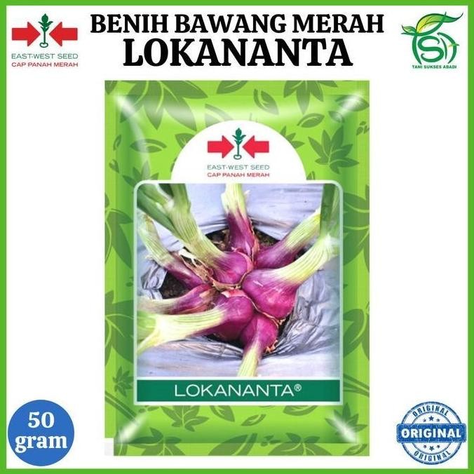

Terlaris Benih Bawang Merah Lokananta 50 Gram - Bibit Cap Panah Merah 50 Gr