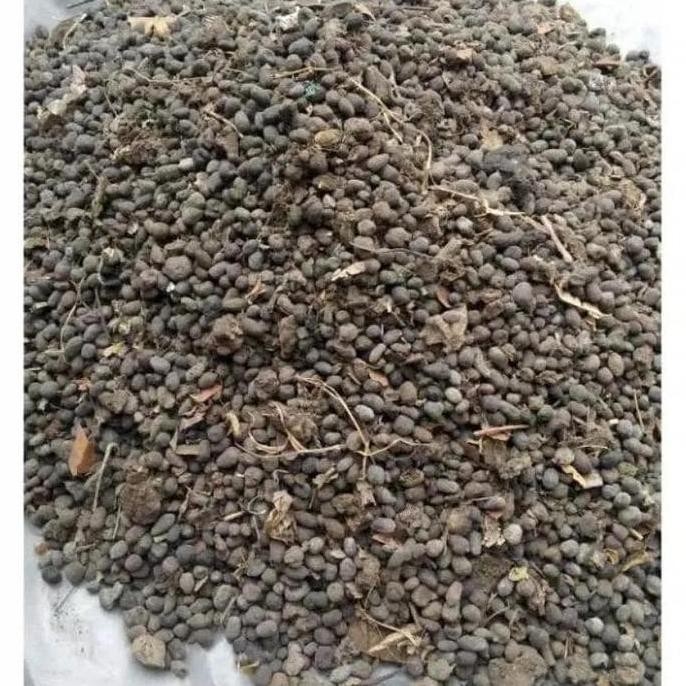 

Terlaris Pupuk Kandang (Kohe Kambing) Murni 250 Gr