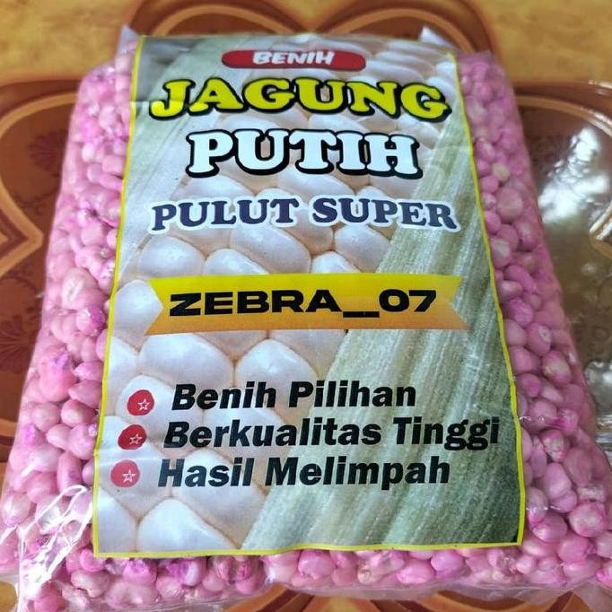 

Terlaris 1 Kg Benih Jagung Ketan Putih Pulut Tanaman Melon Bibit Sayuran Hi Drop Bau Kacang Benih Padi Benih Kacang Panjang Kelengkeng Merah Saffron Buah Cabai Rumput Jeruk Durian Mangga Fresh Flower Caladium Alpukat Bunga Barley