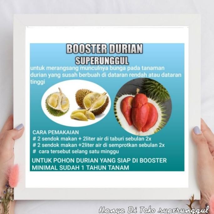 

Terlaris Tt Boster Pupuk Bibit Durian Agar Bisa Berbuah Dengan Cepat Dan
