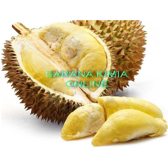 

Terlaris Bibit Flavour Durian 100 Ml Duren Bisa Parfum Fragrance Oil Good Grade