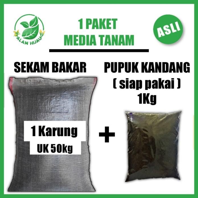 

Terlaris Ada!!! 1 Paket Media Tanam Sekam Bakar 1 Karung Uk 50 + 1 Kg Pupuk Kandang Siap Pakai