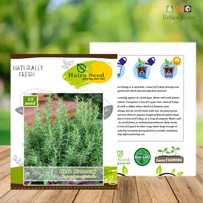

Terlaris Benih Herba Rosemary - Bibit Biji Haira Seed