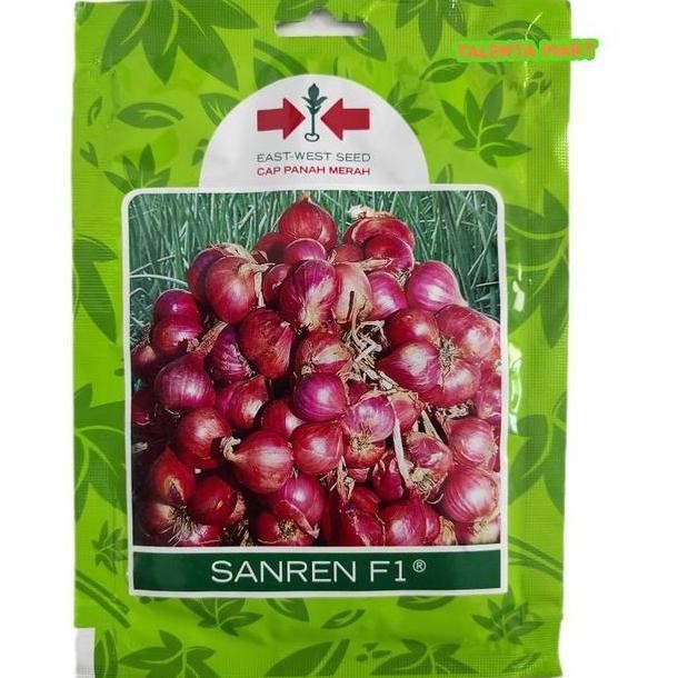 

Terlaris Benih/Bibit Bawang Merah Sanren F1 Exp 2025