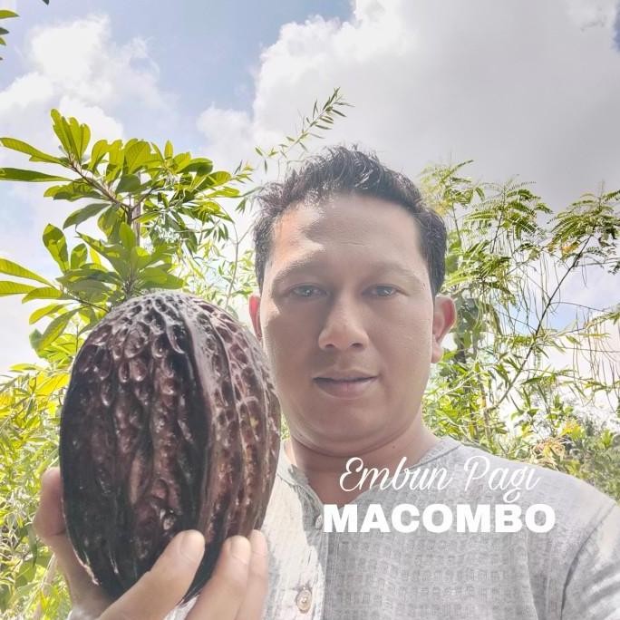 

Terlaris Bibit Buah Makombo Perpaduan Rasa Cacao Dan Durian Unik Dan Langka