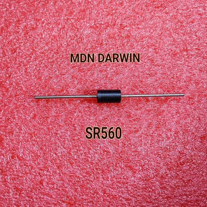 ~~~] SR560 Dioda
