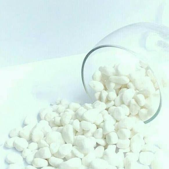 

Terlaris Batu Krikil Koral Putih Italy Italia 20Kg Aquarium Hiasan Pot Taman Bunga Terlaris.