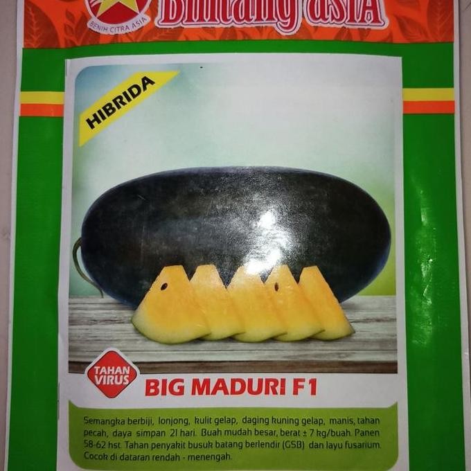 || BANANA / benih semangka inul kuning bintang asia big maduri f1 ||~~~