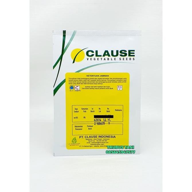 || BANANA / BENIH Kembang Kol Hibrida Bima 45 +/- 2500 butir ||~~~