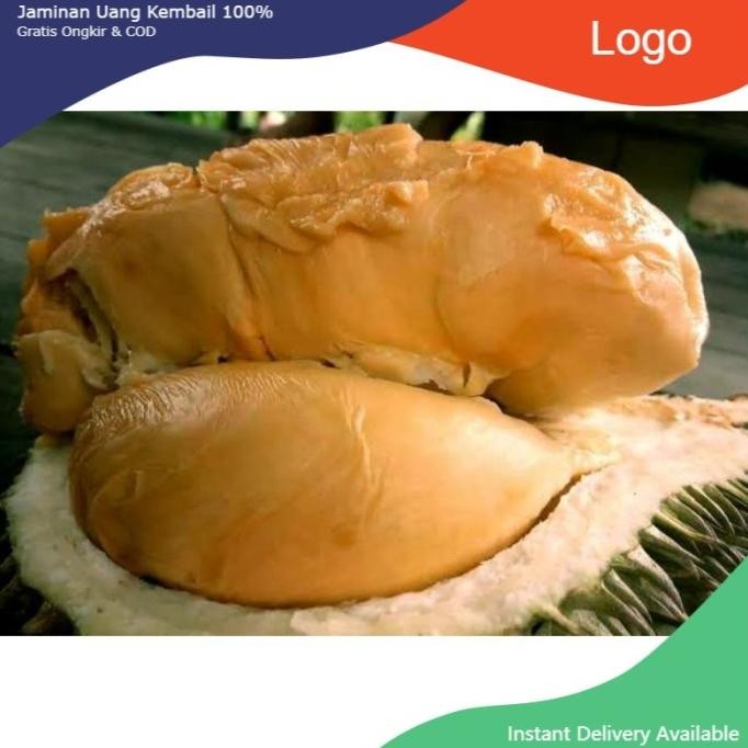 

Terlaris Bibit Durian Super Tembaga Unggul