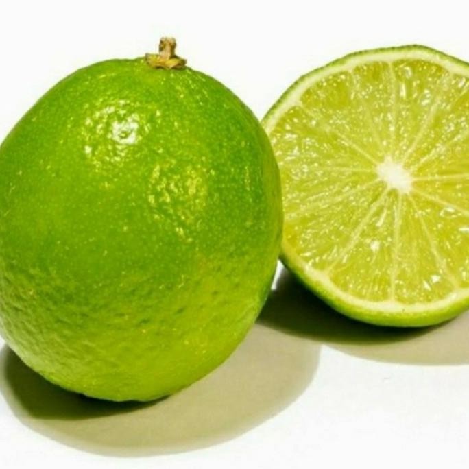 

Terlaris Bibit Tanaman Buah Jeruk Nipis Unggul