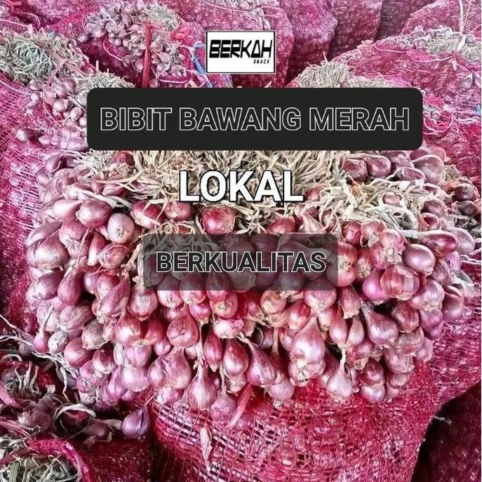 

Terlaris Benih Bibit Bawang Merah Lokal 1 Kg - Produk Asli Tanaman Pupuk Daun