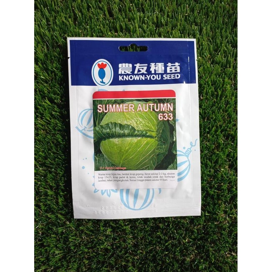 || BANANA / Benih kubis summer autumn 633 known you seed 20 gr ||~~~