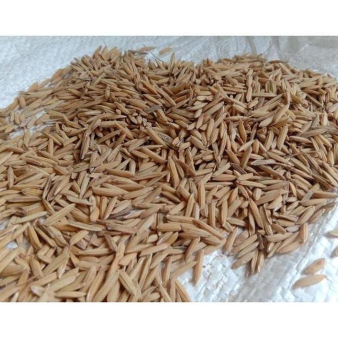 || BANANA / Benih Padi Basmati .Harga Untuk 1 Kg Padi India ||~~~