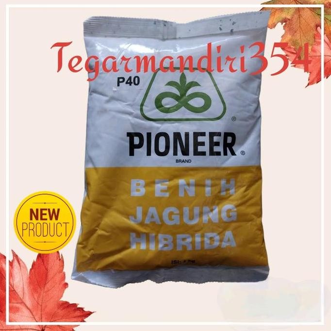 || BANANA / Benih jagung p40 family 1kg bibit jagung pioner p40 1kg ||~~~