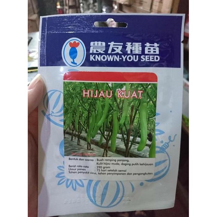 || BANANA / Benih Terong Hijau Kuat Known You Seed (5 gram) ||~~~