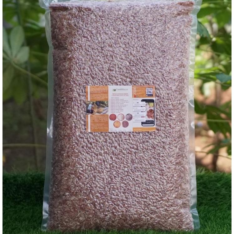

Beras Merah Sosoh Pulen, Empuk, Enak dan masih Fresh Langsung dari Sawah Sendiri (5kg)