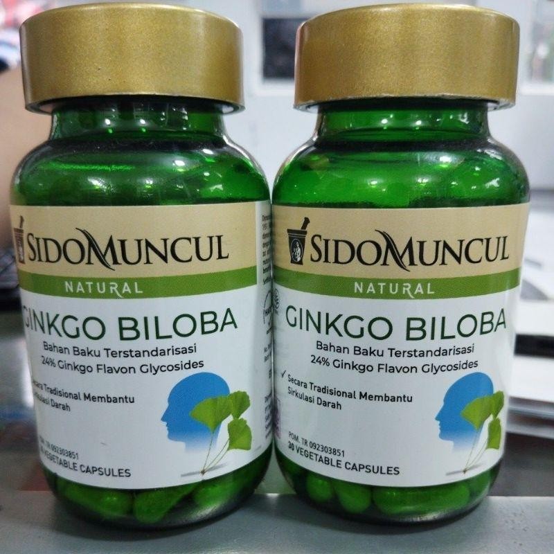 Ginkgo Biloba Sidomuncul