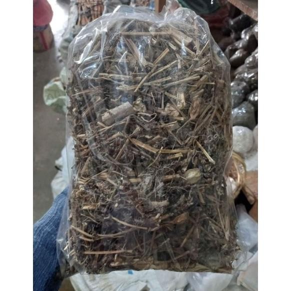 

Daun Batang Ciplukan 100 Gram Cecenet Cecendet Ceplukan kering