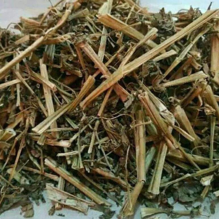 

Daun Batang Ciplukan 50 Gram Cecenet Cecendet Ceplukan kering