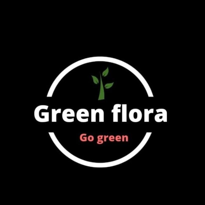 PREMIUM bibit pohon jengkol-pohon buah jengkol-tanaman jengkol HOKyy FRESS