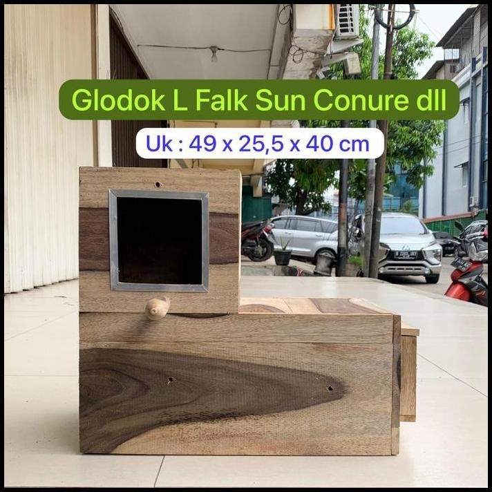 Glodok L Burung Falk Sun Conure Monk Irn Glodok Parrot Kaca Kl
