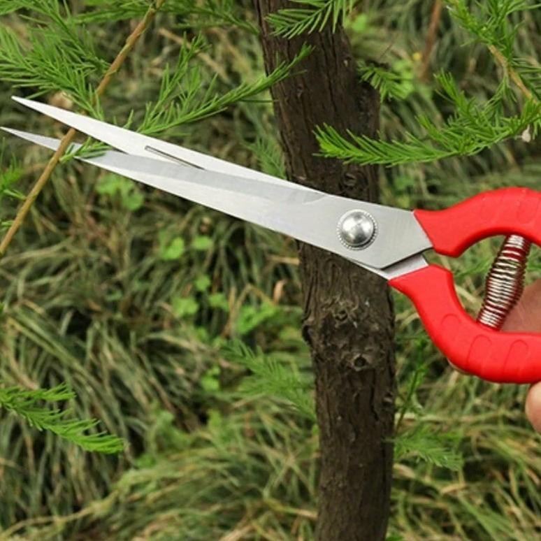 

Professional Rose Trimming Scissors - Durable Stainless Steel, Easy To Use, Perfect For Gardeners And Flower Merchants