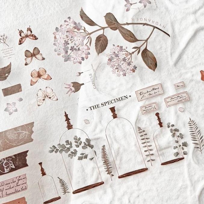 

Deer Studio Vintage Specimen PET Tape murah