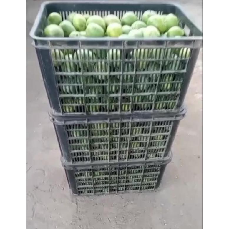 

Special (Promo) Mangga Mardi /Mangga Apel Asli Situbondo Berat 1Kg