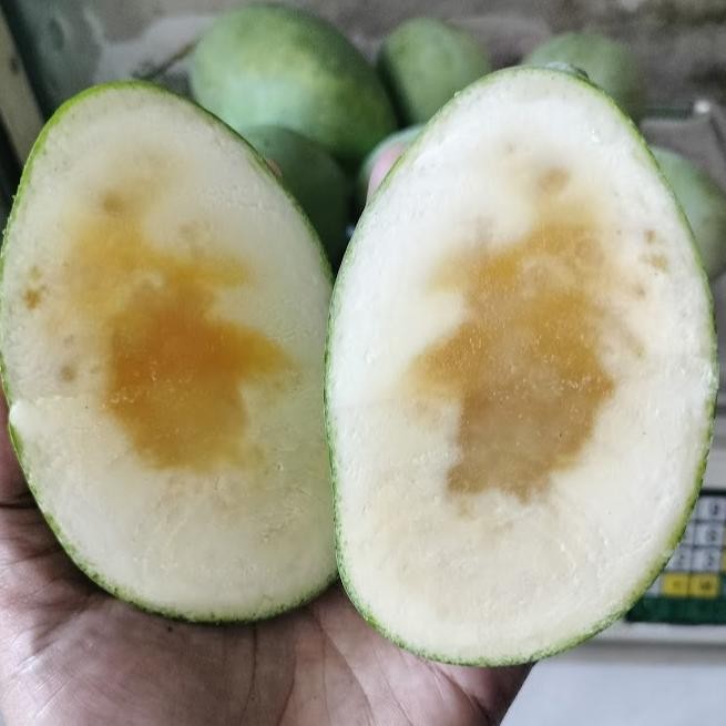 

Special Mangga Madu Manalagi 1Kg Bisa Request 1Kg Isi 4-5
