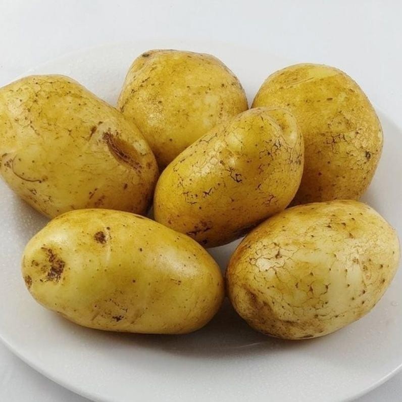 

Fungsi Kentang Dieng Ukuran Sedang Murah 1Kg Super