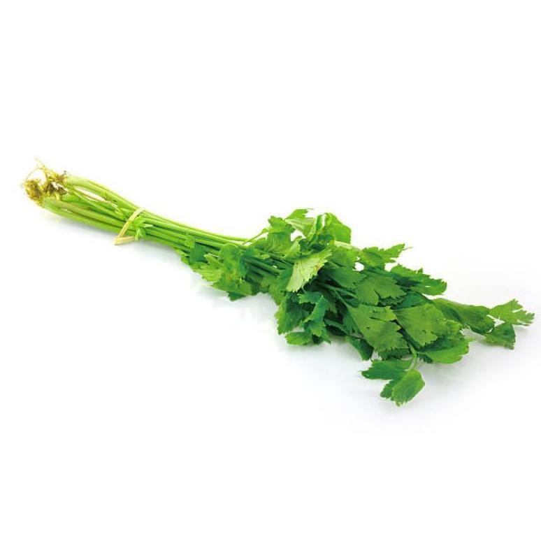 

Penuh Inovasi Daun Seledri | 100 Gr | Nusantara Market