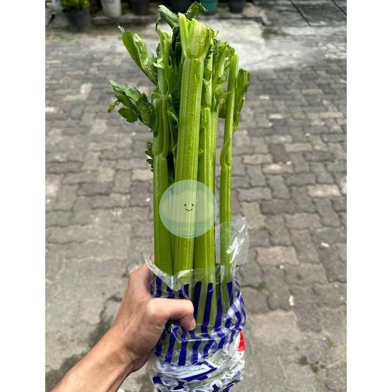 

Kualitas Tertinggi Celery Stick Seledri Stik Impor Per 1Kg