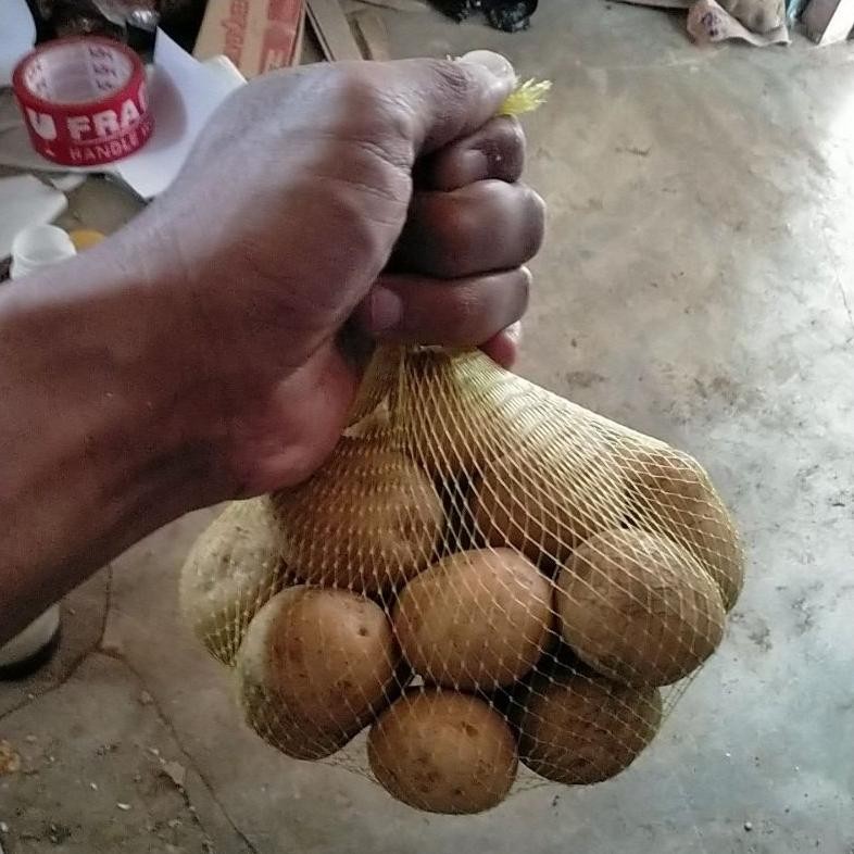 

Desain Elegan 1Kg Murah Kentang Dieng Bc ( Sedang Dan Kecil ) Super Segar